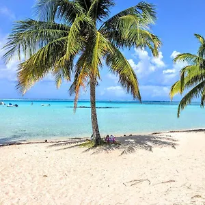 https://moorea-tropical-soul.frenchpolynesia-hotels.com